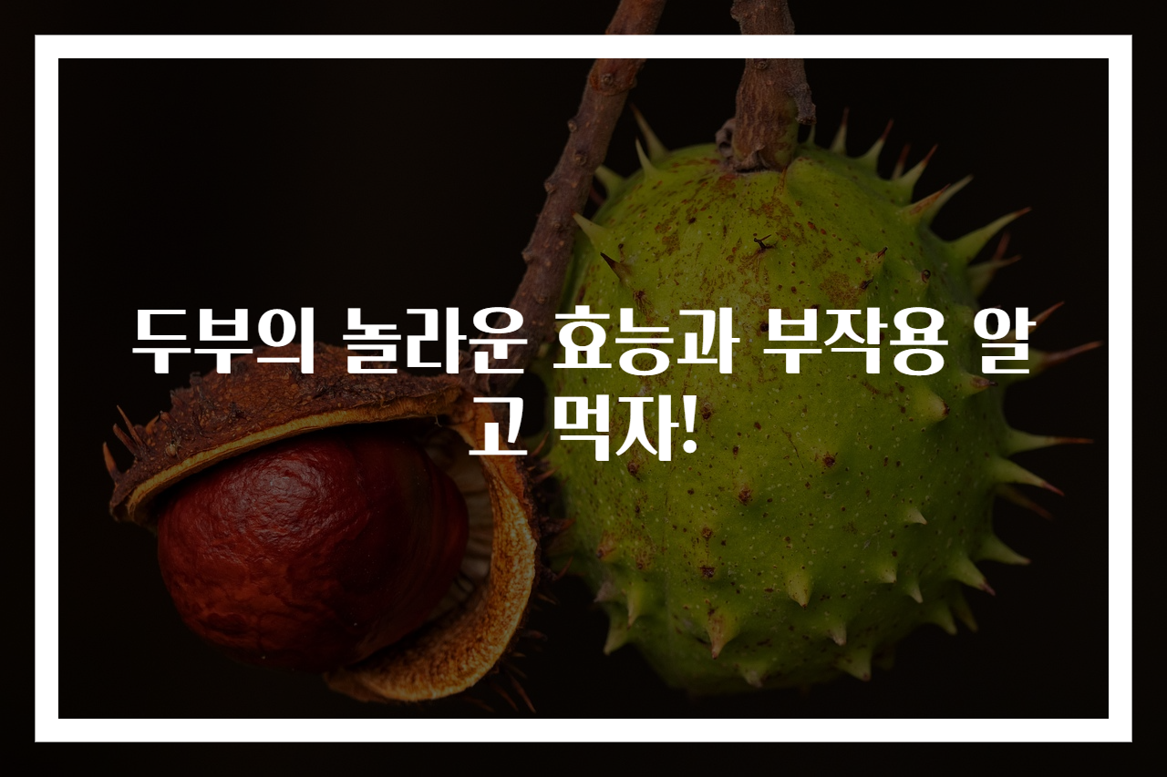 두부의 놀라운 효능과 부작용 알고 먹자!