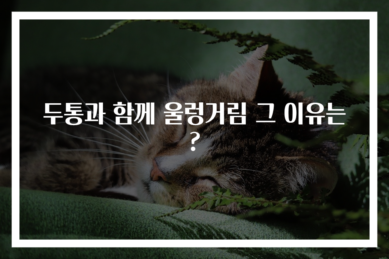 두통과 함께 울렁거림 그 이유는?