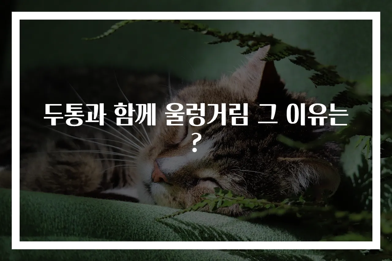 두통과 함께 울렁거림 그 이유는?