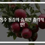 뒤통수 통증의 숨겨진 충격적 원인!