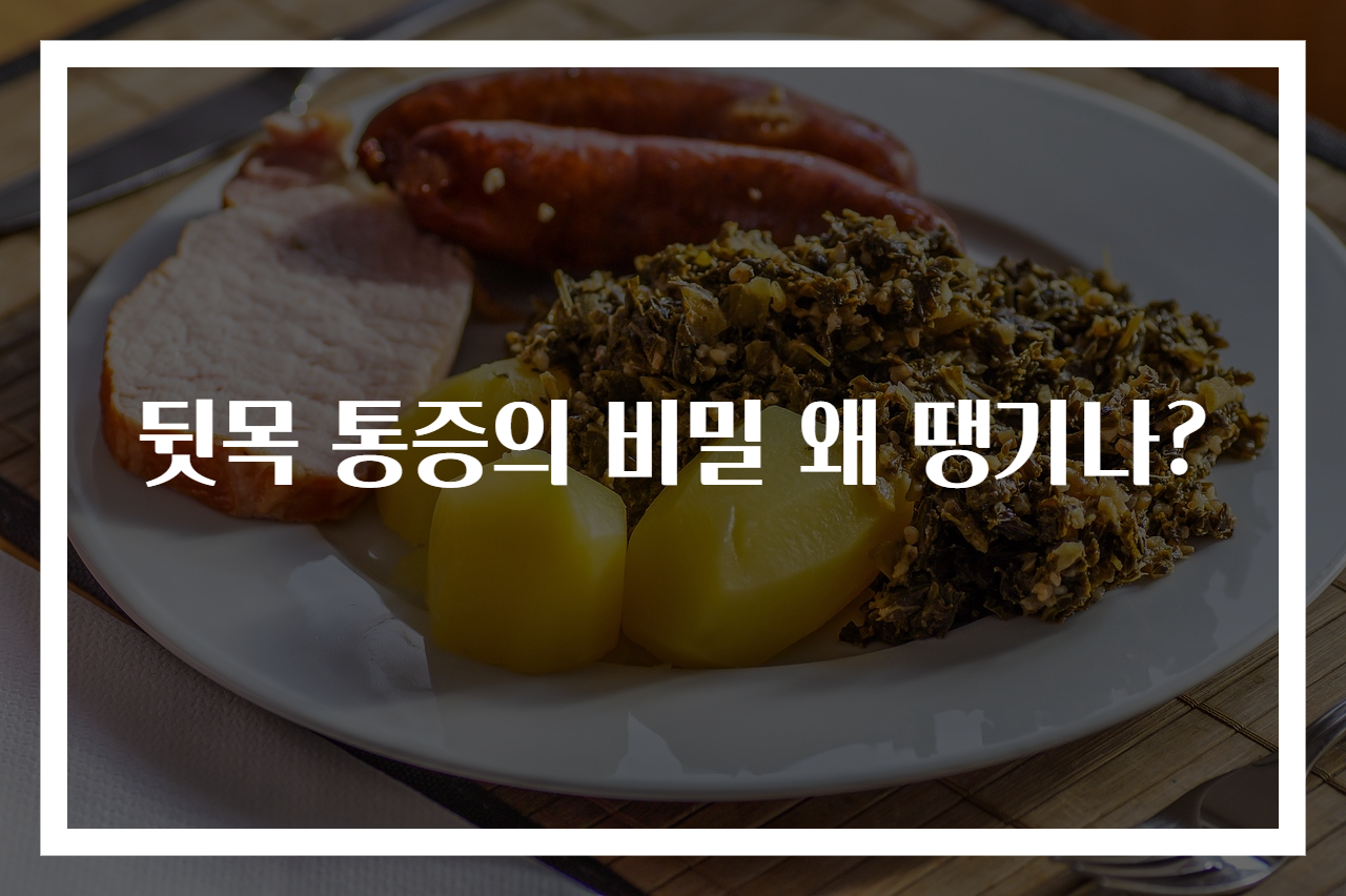 뒷목 통증의 비밀 왜 땡기나?