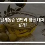 등날개통증 원인과 황금 대처법 공개!