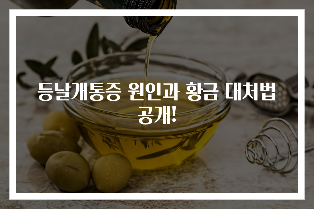 등날개통증 원인과 황금 대처법 공개!
