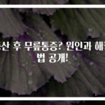 등산 후 무릎통증? 원인과 해결법 공개!