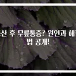 등산 후 무릎통증? 원인과 해결법 공개!