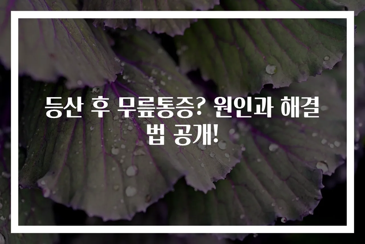 등산 후 무릎통증? 원인과 해결법 공개!