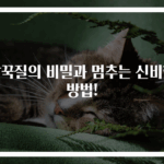 딸꾹질의 비밀과 멈추는 신비한 방법!