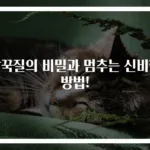 딸꾹질의 비밀과 멈추는 신비한 방법!