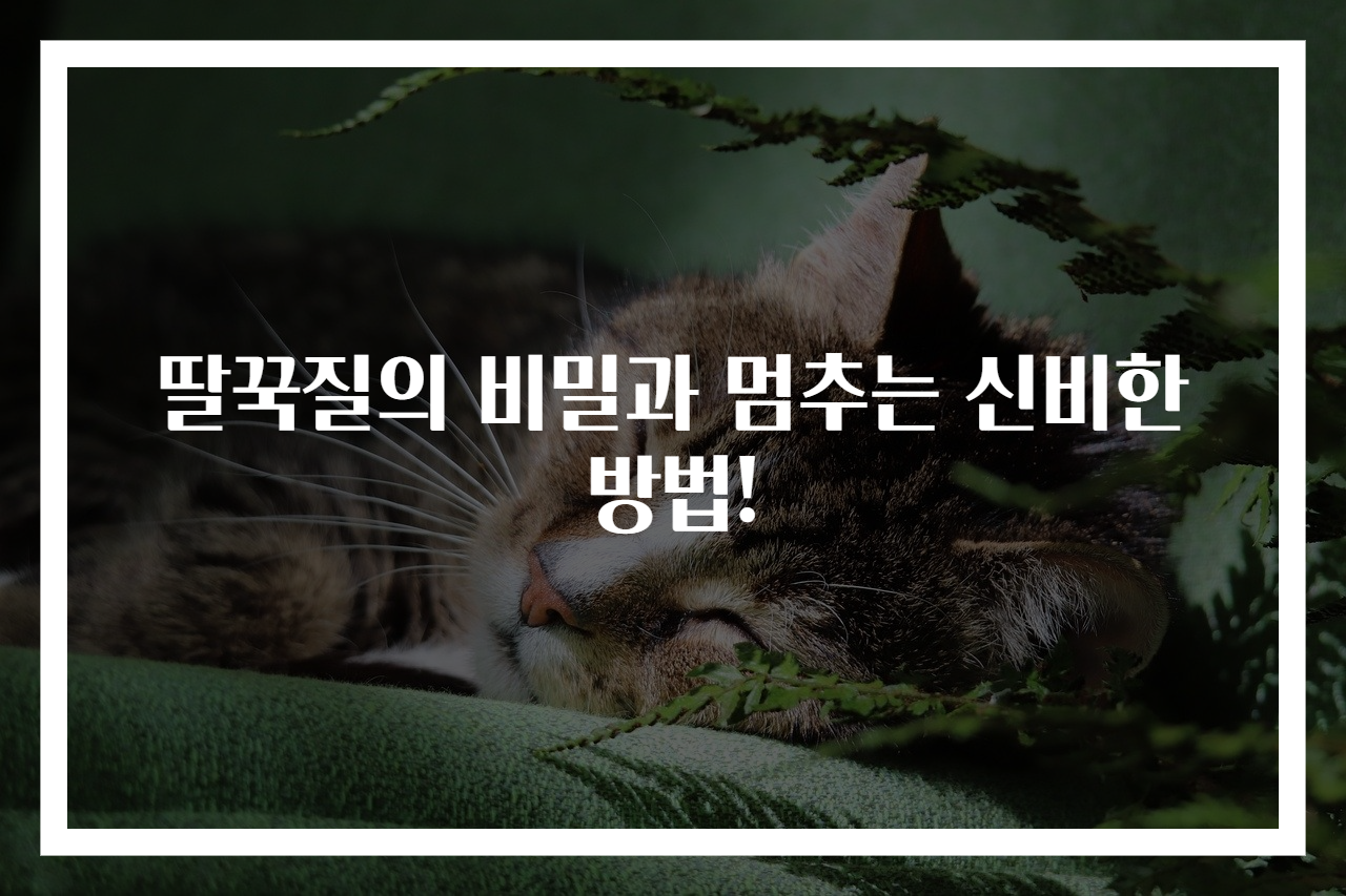 딸꾹질의 비밀과 멈추는 신비한 방법!