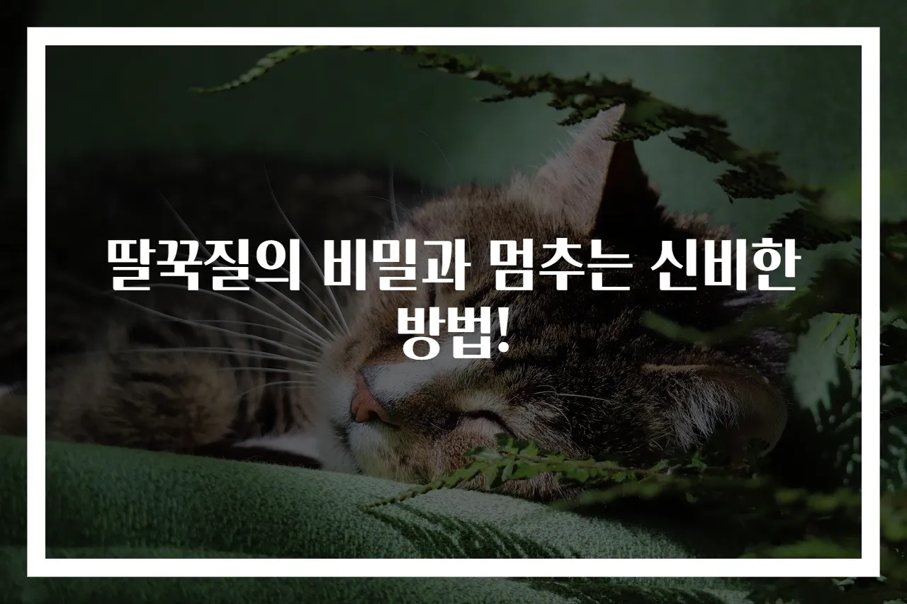 딸꾹질의 비밀과 멈추는 신비한 방법!