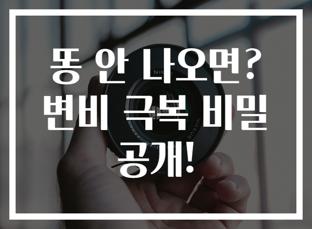 똥 안 나오면? 변비 극복 비밀 공개!