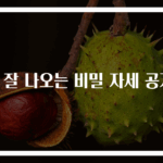 똥 잘 나오는 비밀 자세 공개!