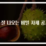 똥 잘 나오는 비밀 자세 공개!