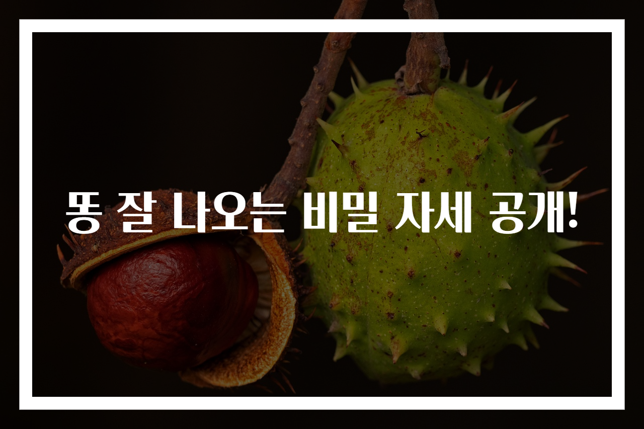 똥 잘 나오는 비밀 자세 공개!