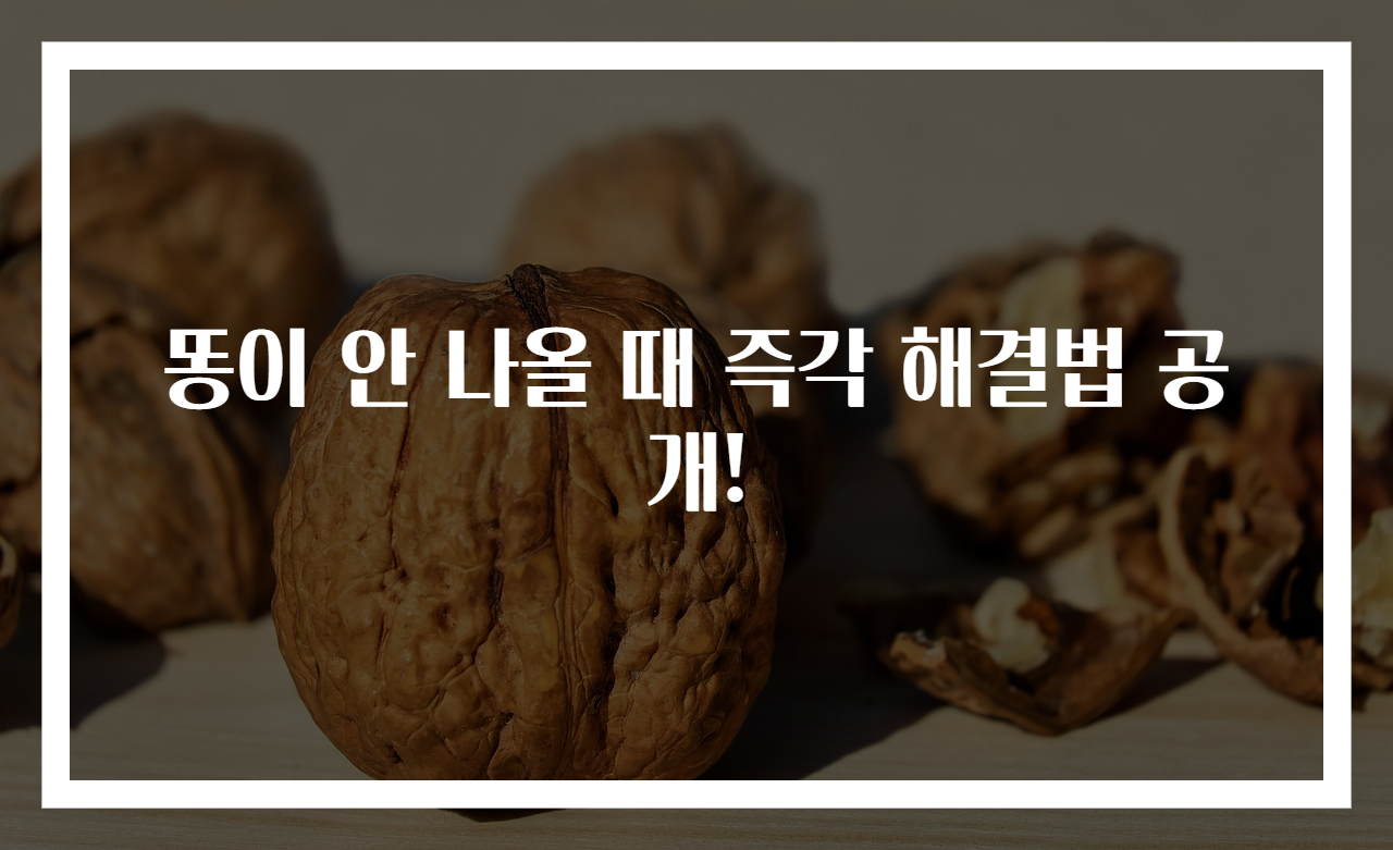 똥이 안 나올 때 즉각 해결법 공개!