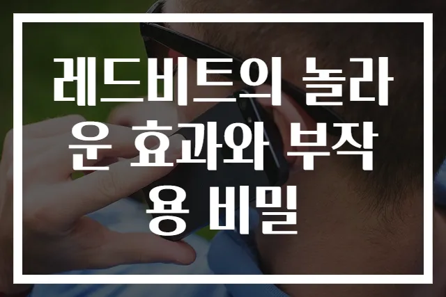 레드비트의 놀라운 효과와 부작용 비밀