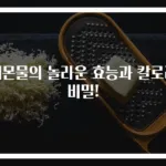 레몬물의 놀라운 효능과 칼로리 비밀!