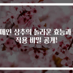로메인 상추의 놀라운 효능과 부작용 비밀 공개!