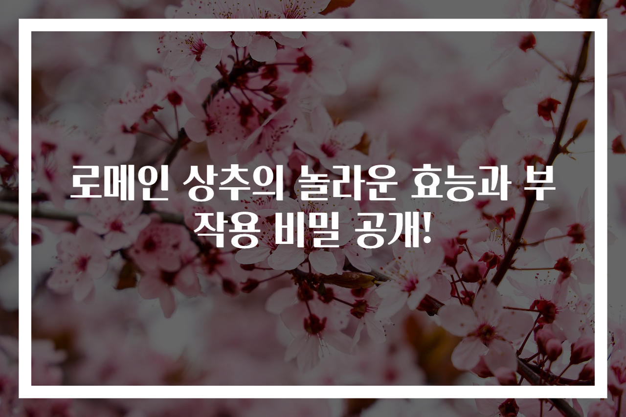 로메인 상추의 놀라운 효능과 부작용 비밀 공개!