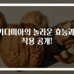 마카다미아의 놀라운 효능과 부작용 공개!