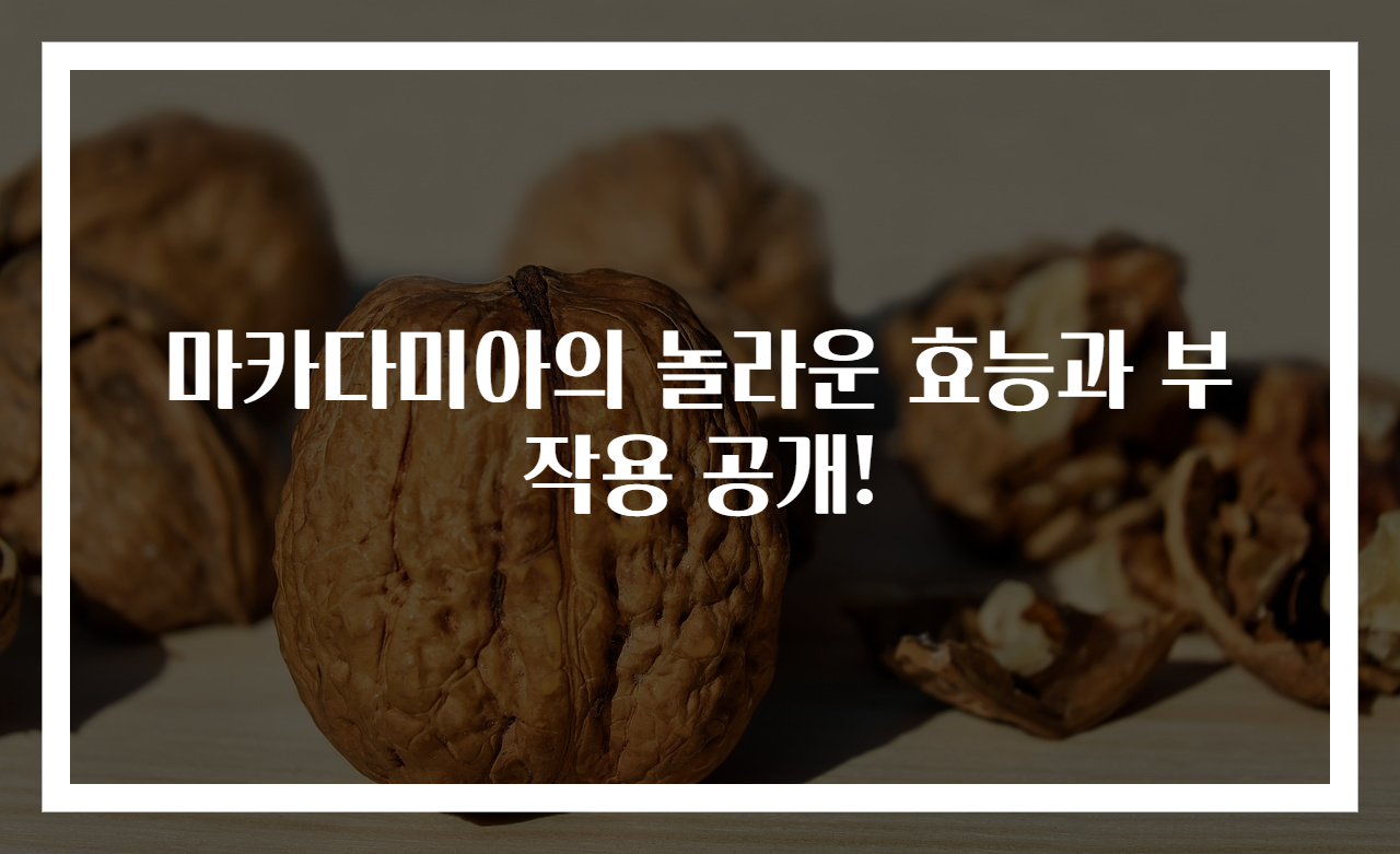 마카다미아의 놀라운 효능과 부작용 공개!