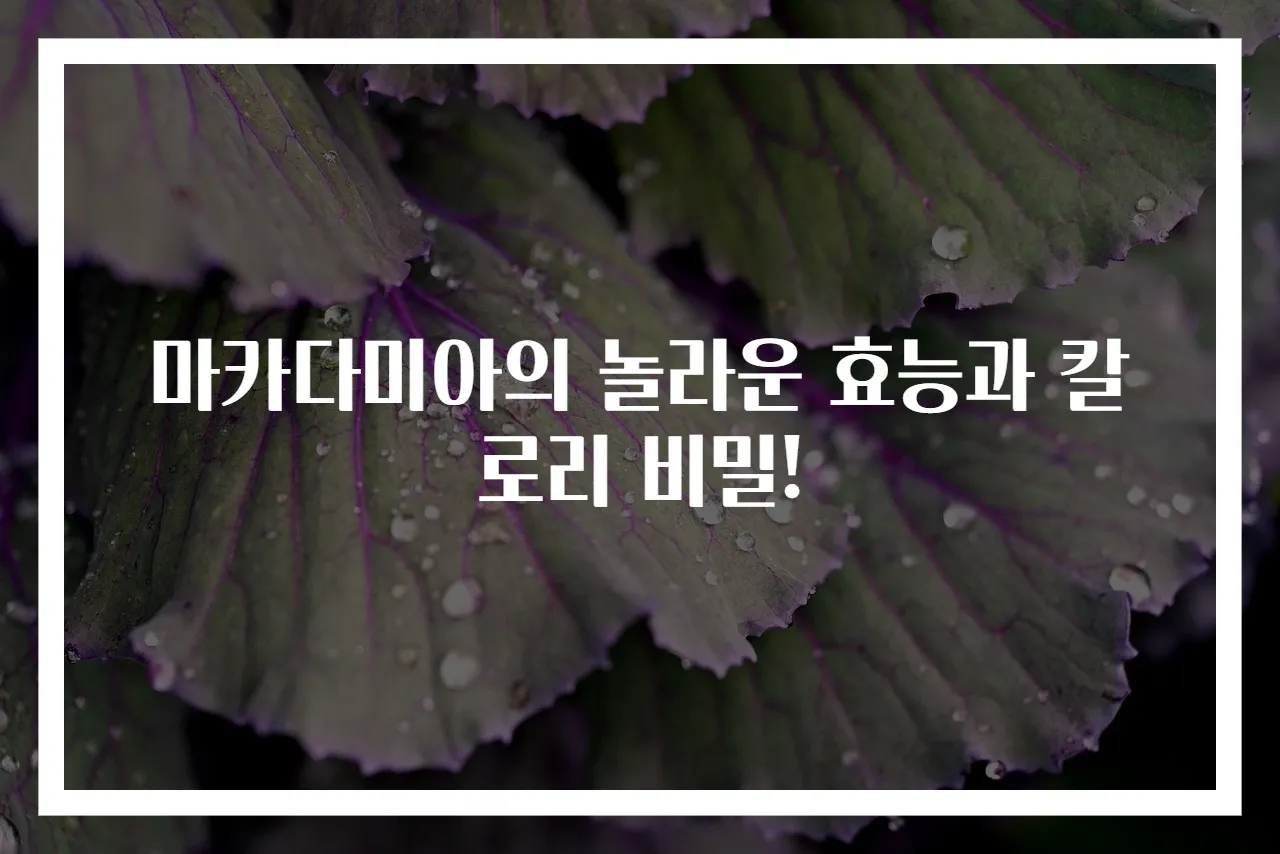 마카다미아의 놀라운 효능과 칼로리 비밀!