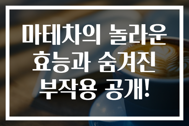 마테차의 놀라운 효능과 숨겨진 부작용 공개!