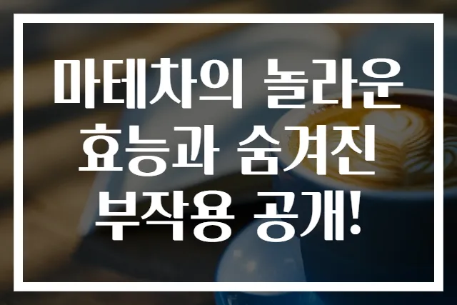 마테차의 놀라운 효능과 숨겨진 부작용 공개!
