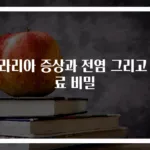 말라리아 증상과 전염 그리고 치료 비밀