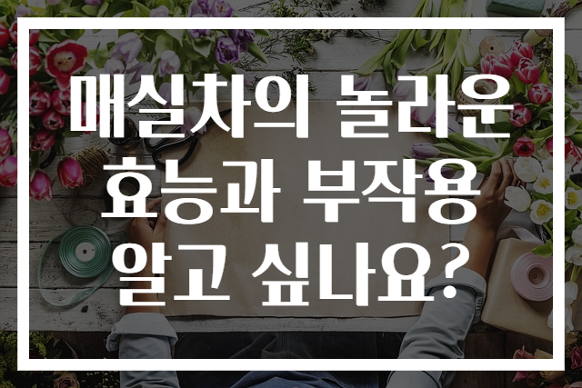 매실차의 놀라운 효능과 부작용 알고 싶나요?