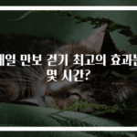 매일 만보 걷기 최고의 효과는 몇 시간?