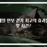 매일 만보 걷기 최고의 효과는 몇 시간?