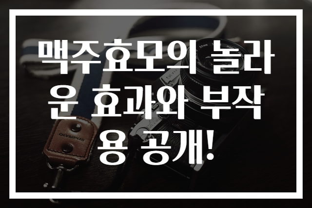 맥주효모의 놀라운 효과와 부작용 공개!