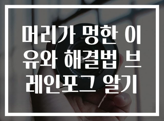 머리가 멍한 이유와 해결법 브레인포그 알기