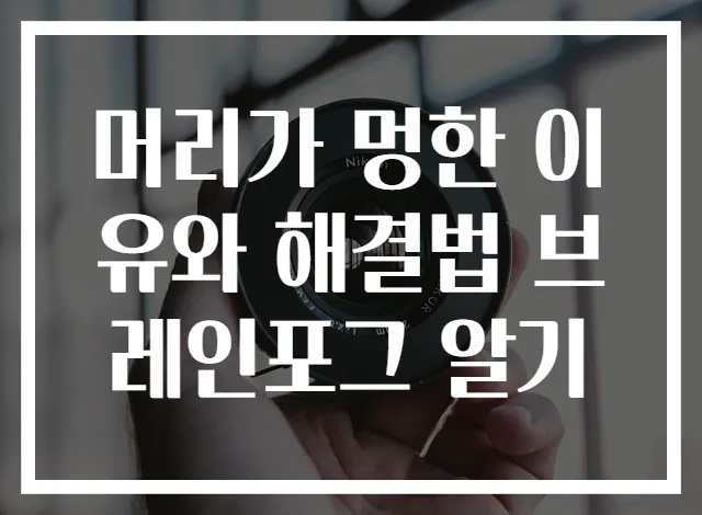 머리가 멍한 이유와 해결법 브레인포그 알기