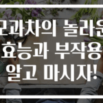 모과차의 놀라운 효능과 부작용 알고 마시자!