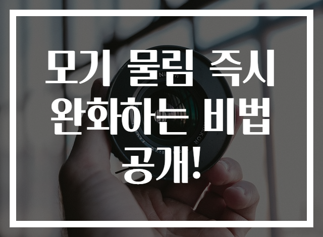 모기 물림 즉시 완화하는 비법 공개!