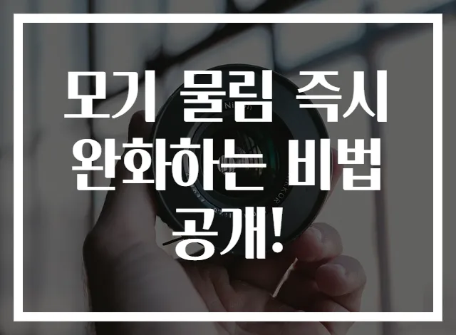 모기 물림 즉시 완화하는 비법 공개!