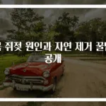 목 쥐젖 원인과 자연 제거 꿀팁 공개