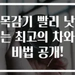 목감기 빨리 낫는 최고의 차와 비법 공개!