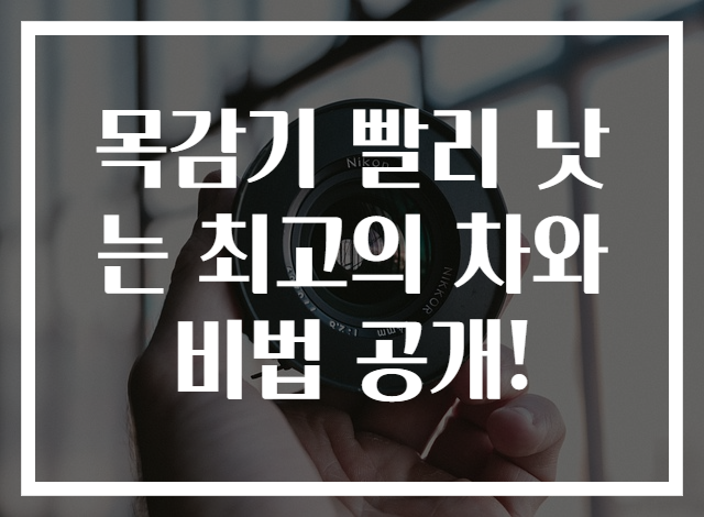 목감기 빨리 낫는 최고의 차와 비법 공개!
