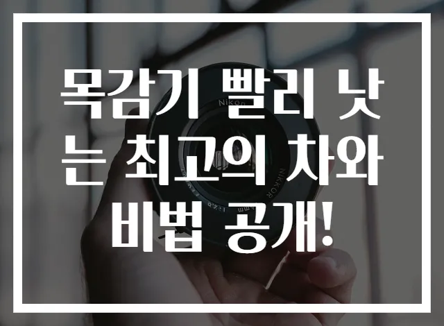 목감기 빨리 낫는 최고의 차와 비법 공개!