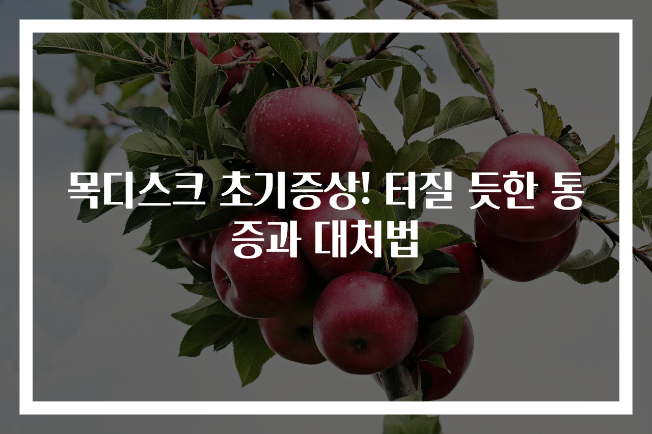 목디스크 초기증상! 터질 듯한 통증과 대처법