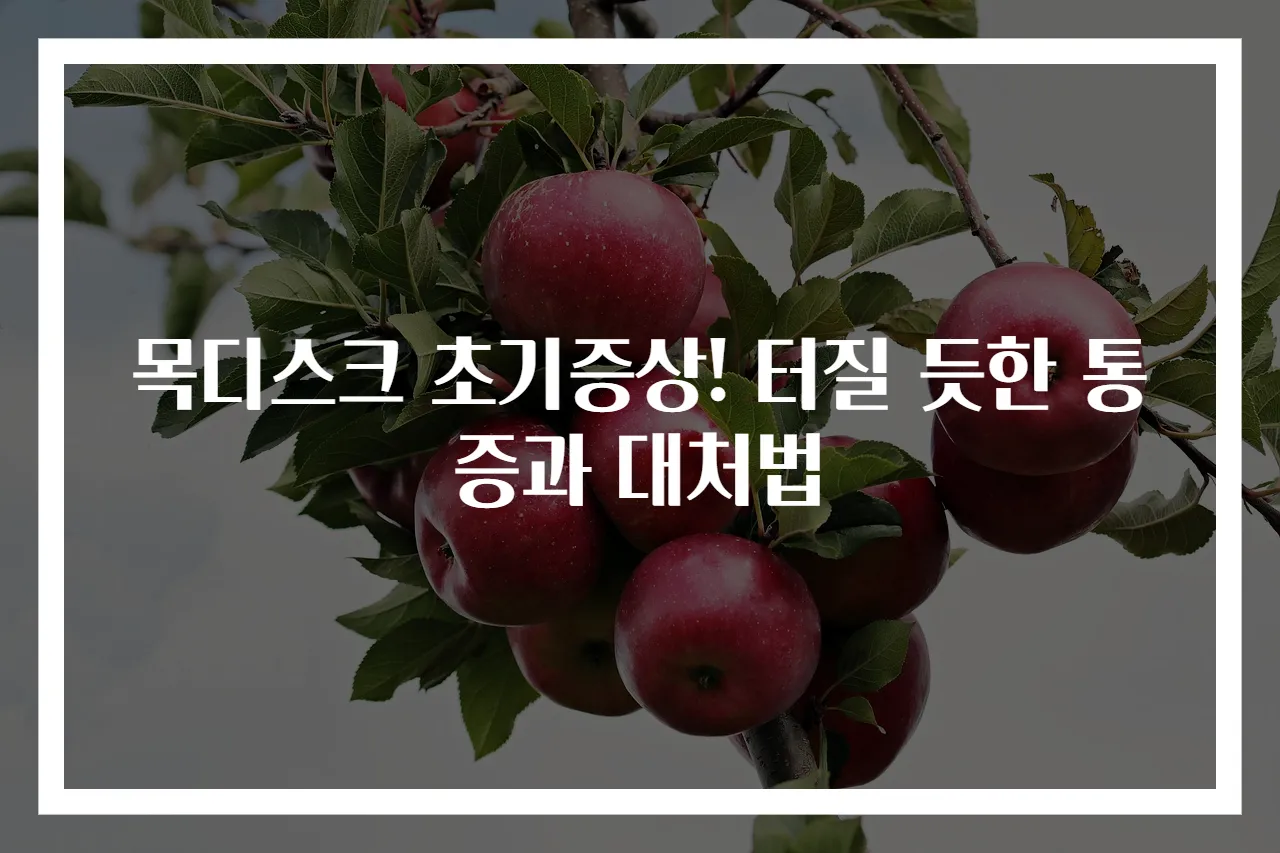 목디스크 초기증상! 터질 듯한 통증과 대처법