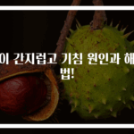 목이 간지럽고 기침 원인과 해결법!