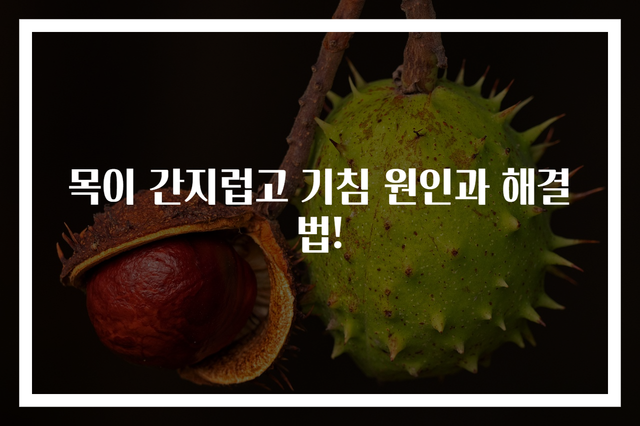 목이 간지럽고 기침 원인과 해결법!