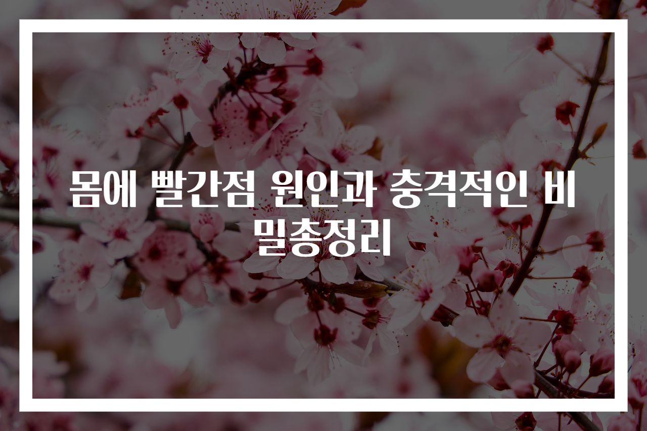 몸에 빨간점 원인과 충격적인 비밀총정리