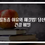 무릎통증 이유와 해결법! 당신의 건강 비밀