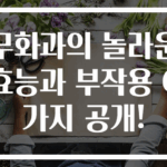 무화과의 놀라운 효능과 부작용 6가지 공개!