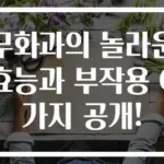 무화과의 놀라운 효능과 부작용 6가지 공개!